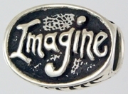13460-Imagine Bead