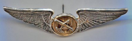 17361-Cirrus Logo Wings
