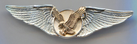 17369-American Eagle Wings